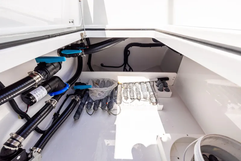 Slide: The Image of Freeman 35 2026 - 83