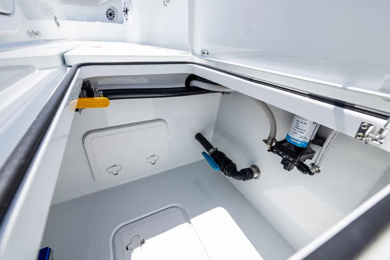 Slide: The Image of Freeman 35 2026 - 85