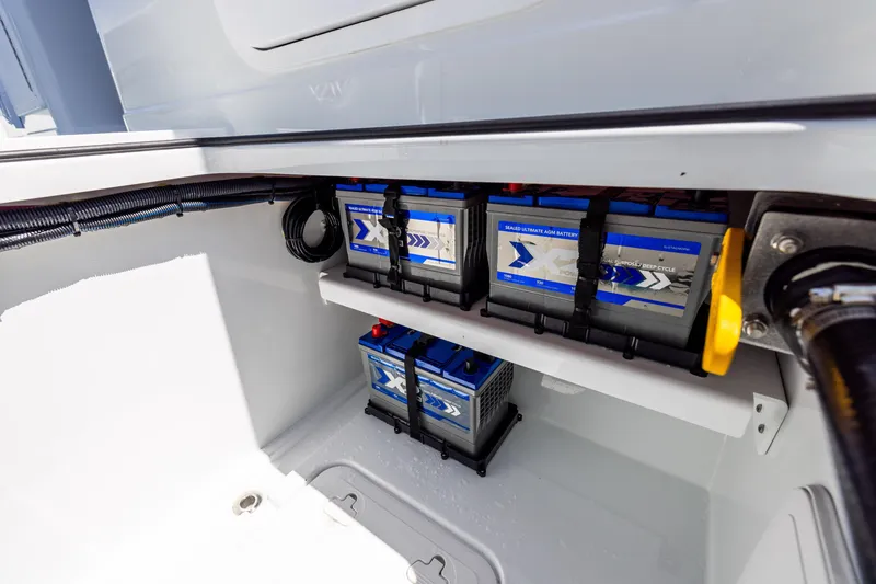 Slide: The Image of Freeman 35 2026 - 86