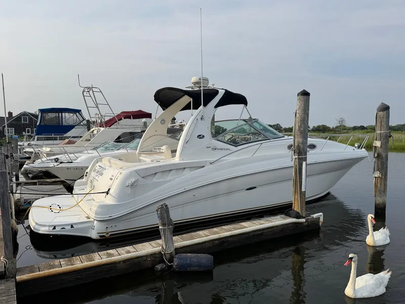The Image of 2003 Sea Ray 320 Sundancer docked with swans nearby, showcasing sleek design and elegance. - 0