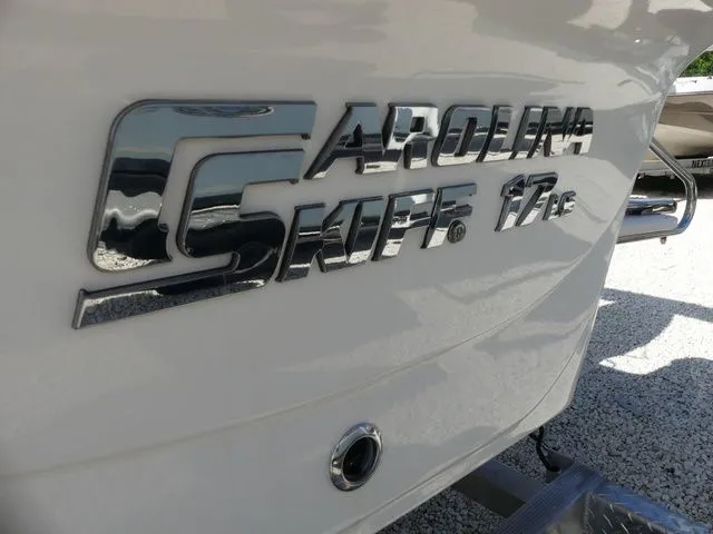 Slide: The Image of Carolina 17 LS 2022 - 4