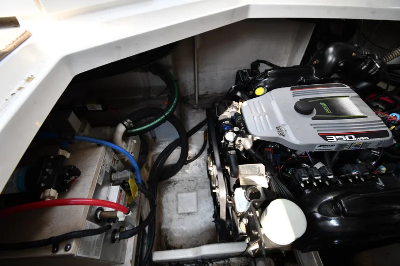 Slide: The Image of Sea Ray Sundancer 310 2011 - 64