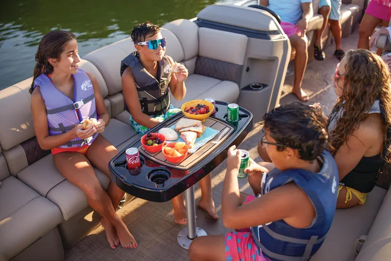 Slide: The Image of Sun Tracker Party Barge 24 DLX 2025 - 60