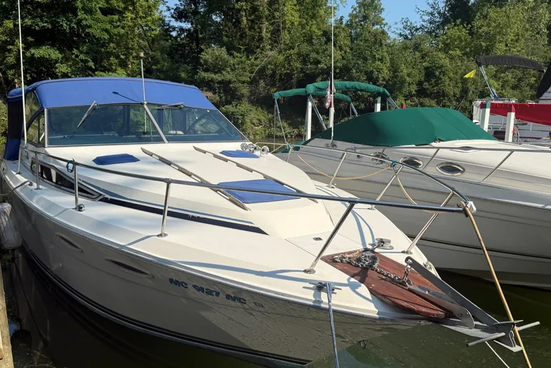Slide: The Image of 1986 Sea Ray 300 Weekender boat docked with blue canopy, surrounded by greenery. - 3