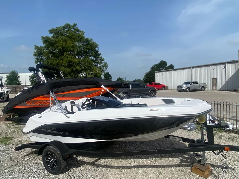 The Image of Scarab 165 2023 - 1