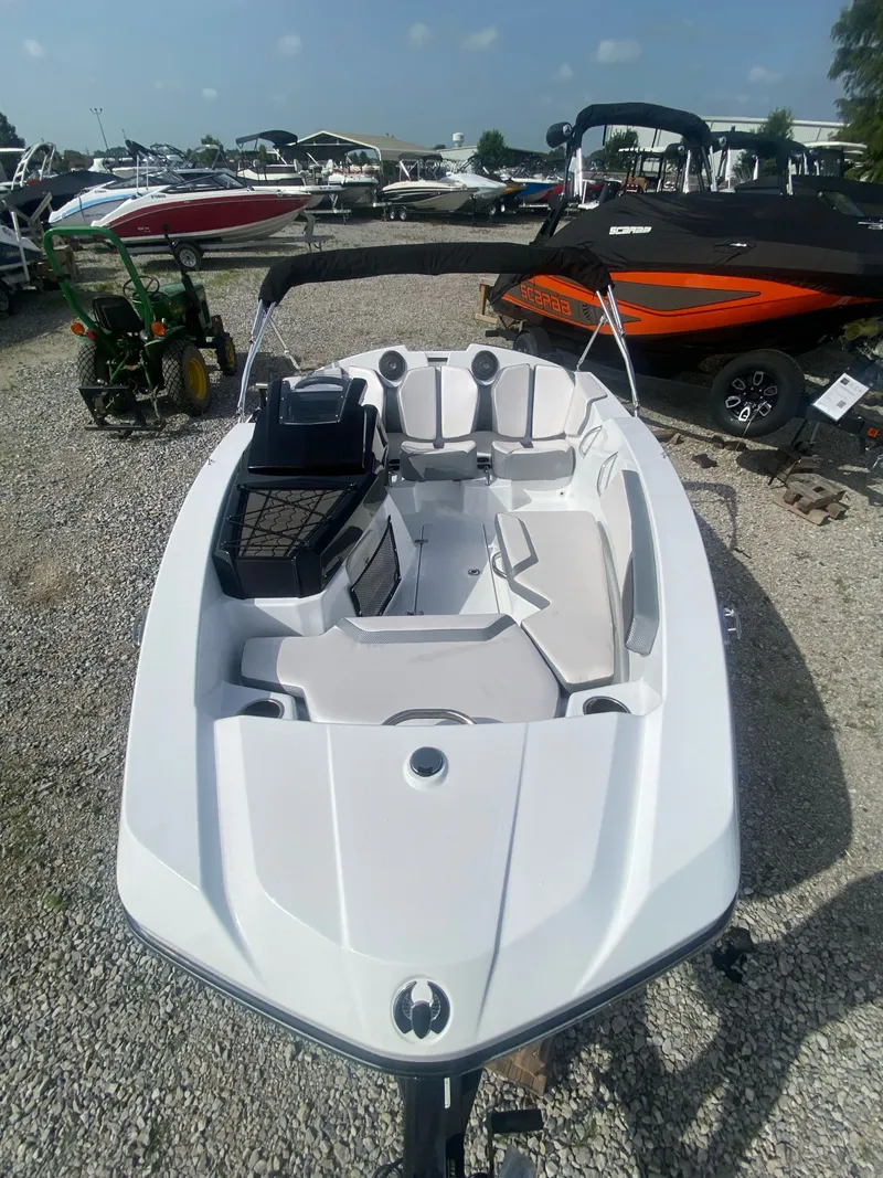 Slide: The Image of Scarab 165 2023 - 3