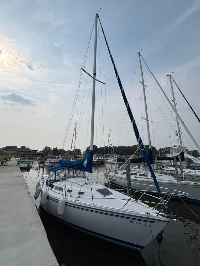 Slide: The Image of Catalina 30 MkIII 1995 - 6