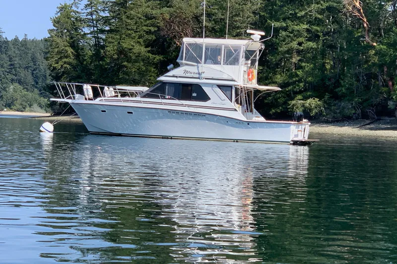 The Image of 1988 Chris-Craft 392 Sport Fish boat anchored on calm water near a forested shoreline. - 0