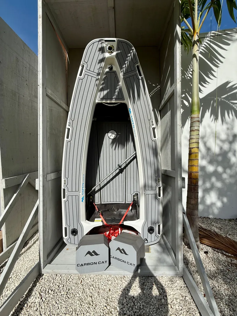 Slide: The Image of Aspen Carbon Cat T10 2025 - 3