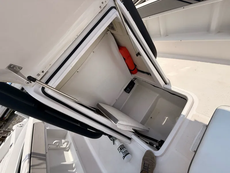 Slide: The Image of Scarab 195 Open ID 2019 - 16