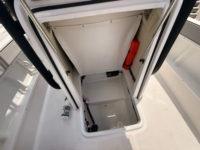 Slide: The Image of Scarab 195 Open ID 2019 - 17