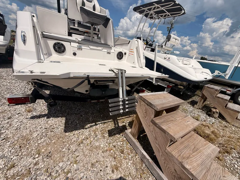 Slide: The Image of Scarab 195 Open ID 2019 - 23