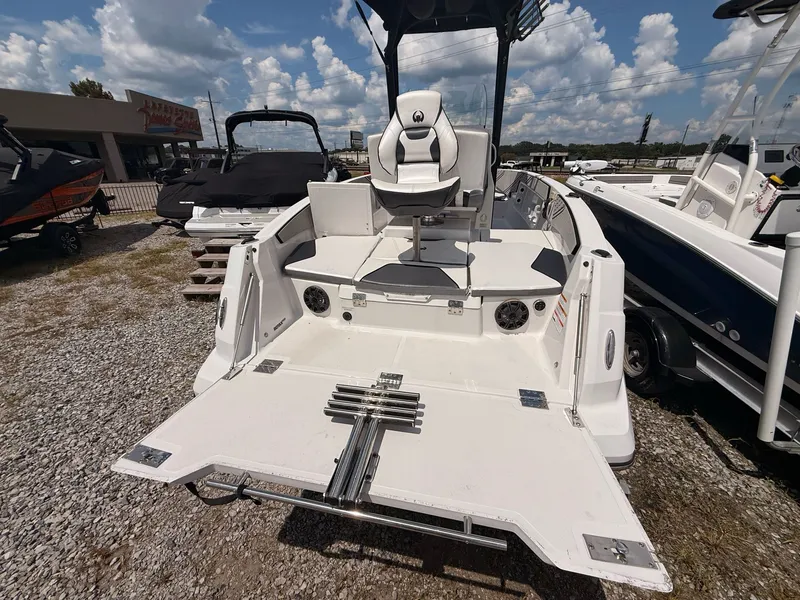 Slide: The Image of Scarab 195 Open ID 2019 - 8