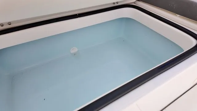 Slide: The Image of Sea Born LX22 Center Console 2026 - 34