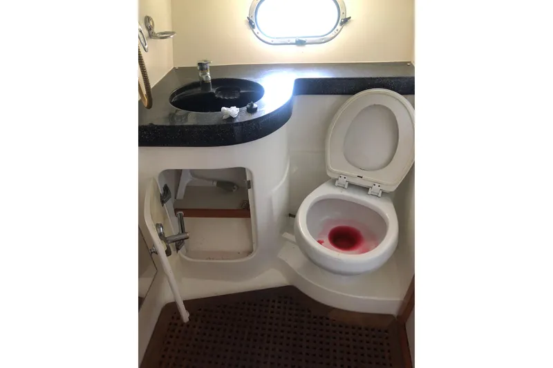 Slide: The Image of Bathroom of 2002 Birchwood Challenger 460 Flybridge with sink and toilet. - 105