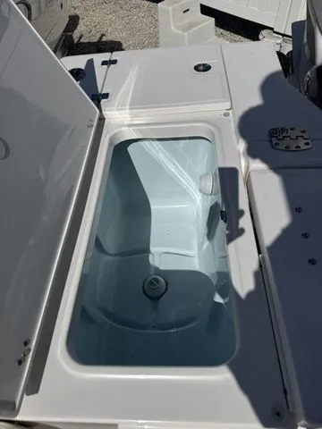 Slide: The Image of Robalo 246 Cayman SD 2025 - 22