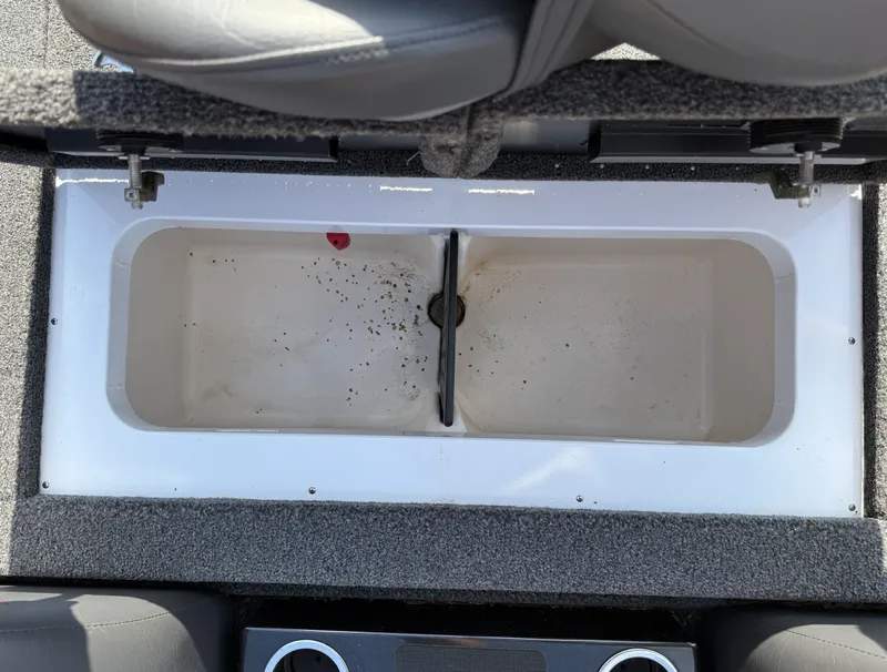 Slide: The Image of Vexus AVX 1980 2021 - 15