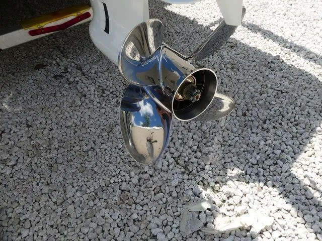 Slide: The Image of Carolina 23 LS 2022 - 7