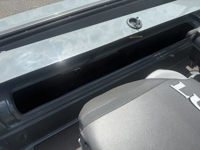 Slide: The Image of Lund 185 Impact GL 2025 - 17