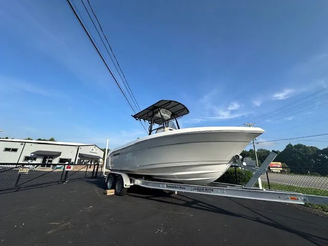 Slide: The Image of Savannah 2200 2024 - 2