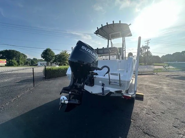 Slide: The Image of Savannah 2200 2024 - 3