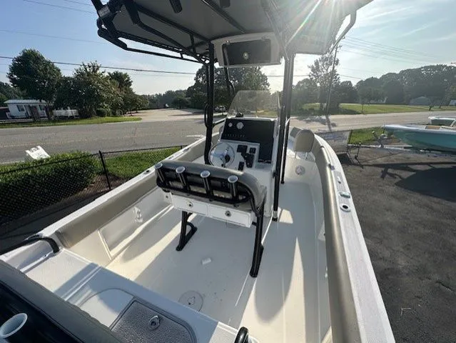 Slide: The Image of Savannah 2200 2024 - 4