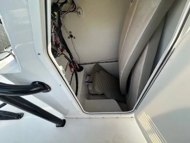 Slide: The Image of Savannah 2200 2024 - 6