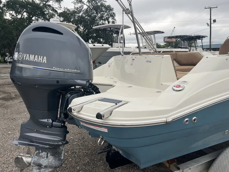 Slide: The Image of Stingray 192 SC 2020 - 13