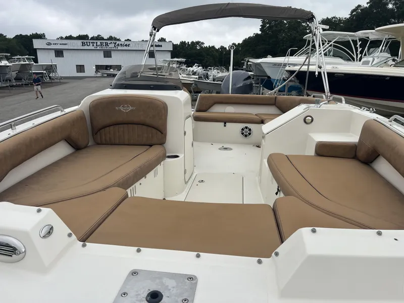 Slide: The Image of Stingray 192 SC 2020 - 4