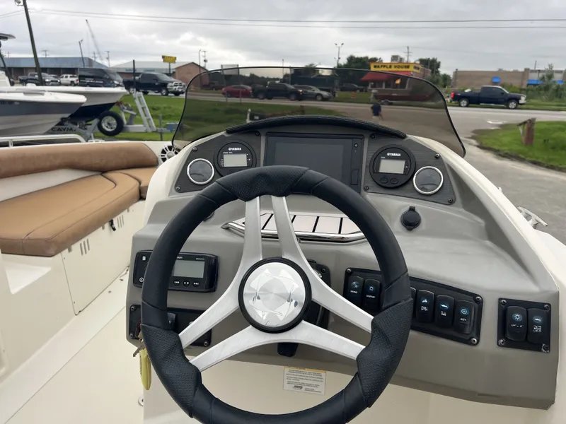 Slide: The Image of Stingray 192 SC 2020 - 5