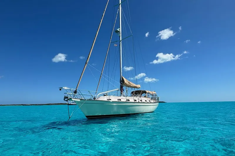 The Image of Petrel in her happy place - 0