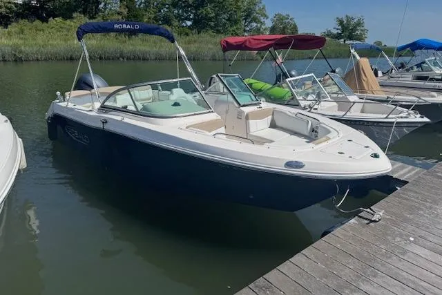 The Image of 2019 Robalo R207 Dual Console boat docked on a calm river. - 0