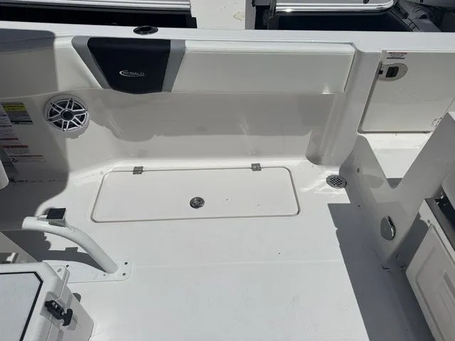 Slide: The Image of Robalo R250 Center Console 2025 - 11