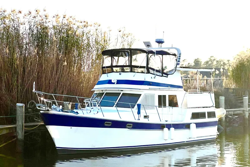 Slide: The Image of 1987 Marine Trader Sundeck yacht docked by tall reeds, featuring a blue and white design. - 4