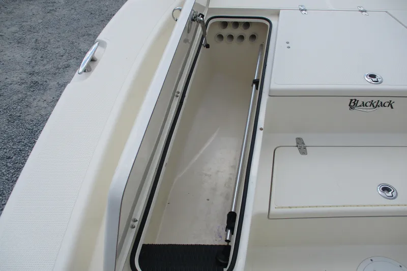 Slide: The Image of 2016 BlackJack 256 Bay boat storage compartment with open hatch, showcasing interior space. - 10