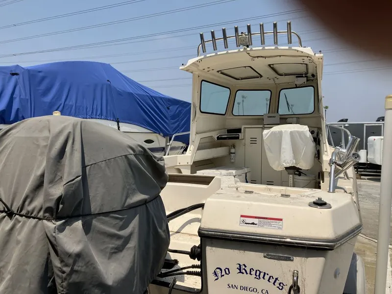 Slide: The Image of Arima Sea Chaser Yellowtail Special 2020 - 3