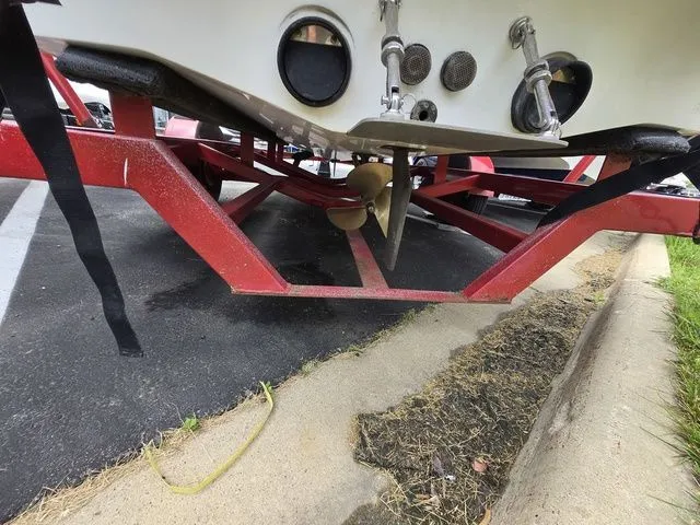 Slide: The Image of Gekko Bazooka 21 2003 - 5