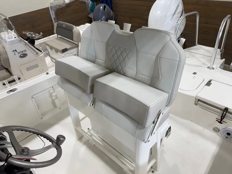 Slide: The Image of World Cat 235 CC 2025 - 11