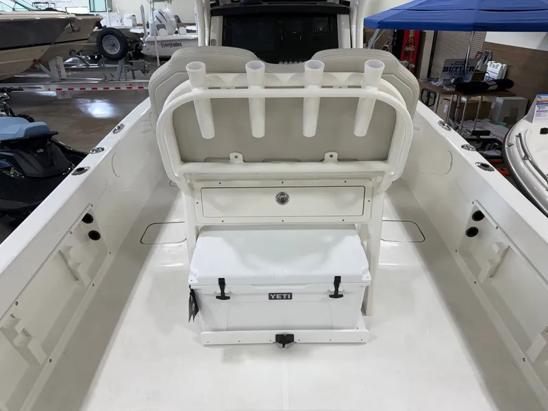 Slide: The Image of World Cat 235 CC 2025 - 8