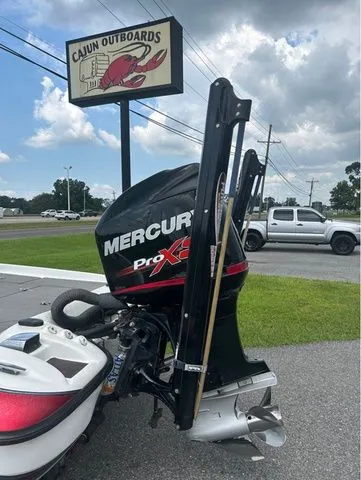 Slide: The Image of Bass Cat Cougar 2008 - 6