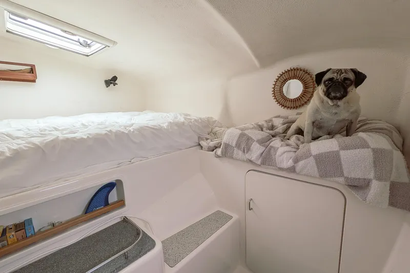 Slide: The Image of Cozy cabin interior of 2001 Voyage 440 yacht with a pug on a bed. - 30