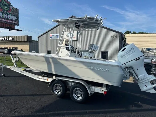 Slide: The Image of Savannah 210X 2025 - 2