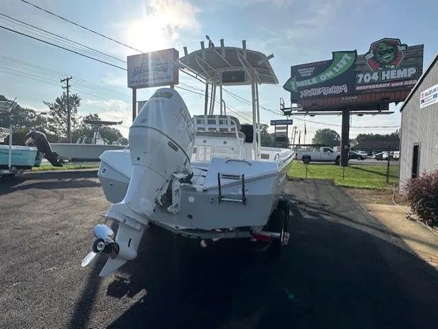 Slide: The Image of Savannah 210X 2025 - 3