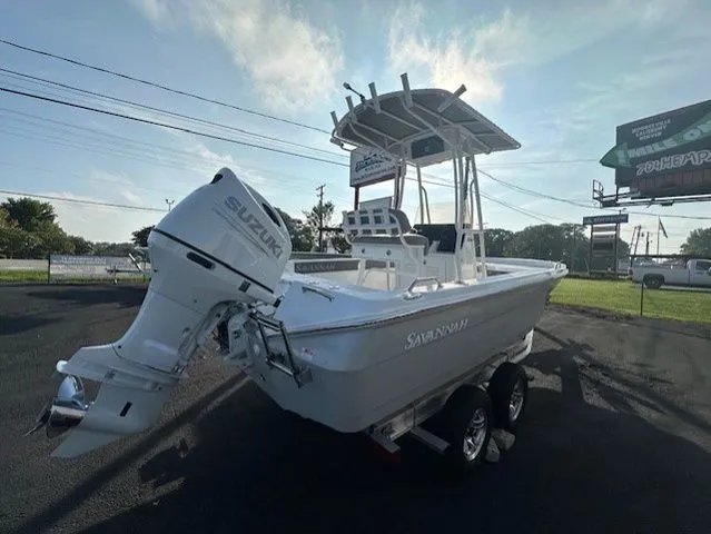 Slide: The Image of Savannah 210X 2025 - 4