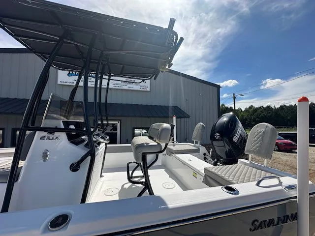 Slide: The Image of Savannah 210X 2026 - 3