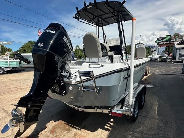 Slide: The Image of Savannah 210X 2026 - 4