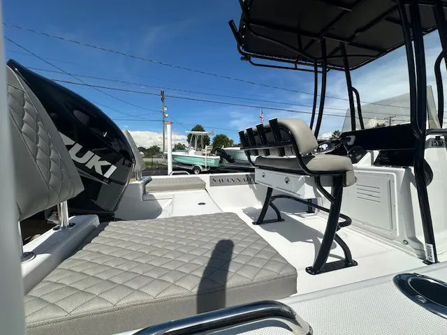 Slide: The Image of Savannah 210X 2026 - 5