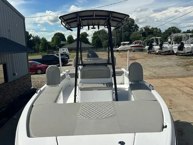 Slide: The Image of Savannah 210X 2026 - 7