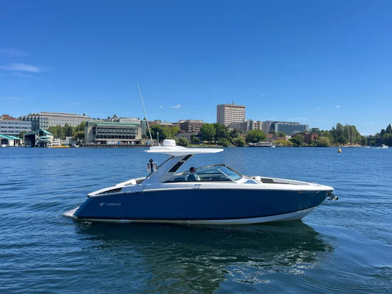 Slide: The Image of Cobalt R33 Surf 2025 - 6