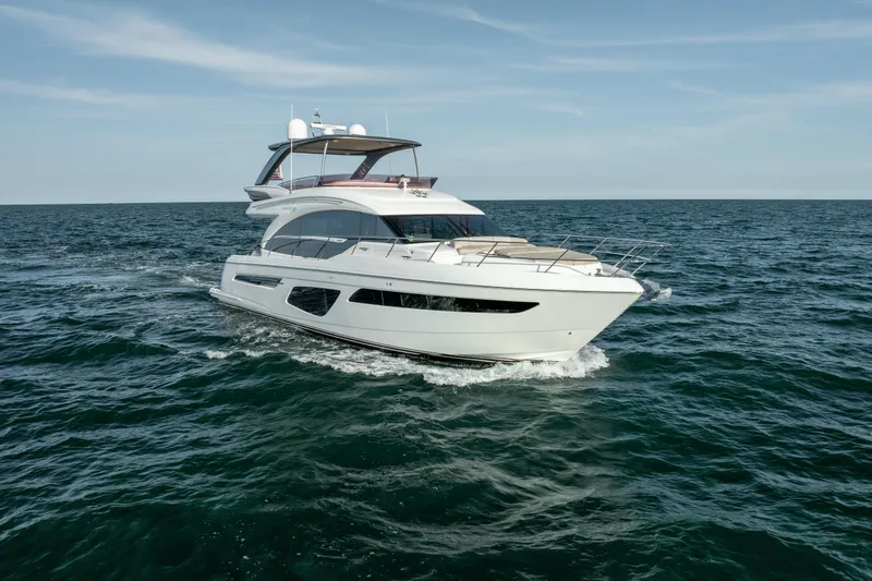 Slide: The Image of Princess F62 Stumped- Profile - 16